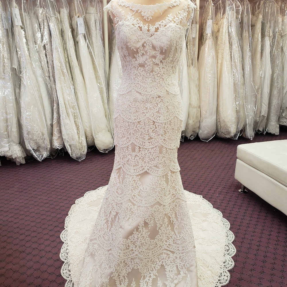 Moonlight bridal
